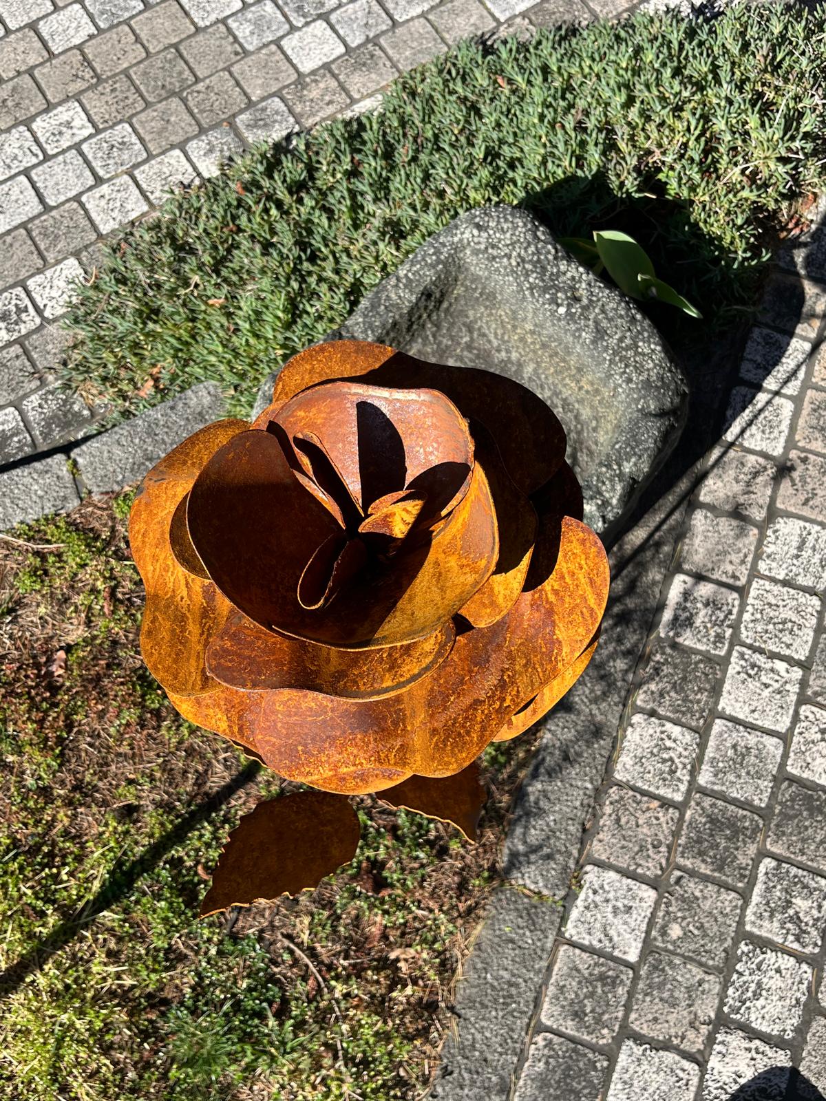 Roses