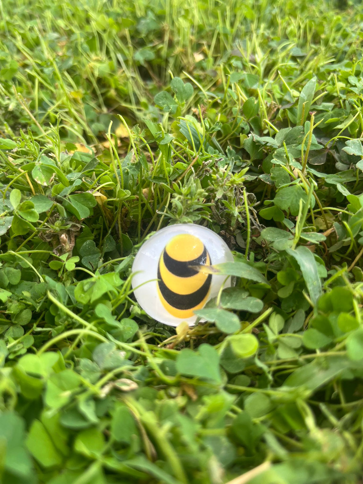 Ball Marker