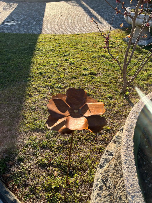 Flowers for the Garden