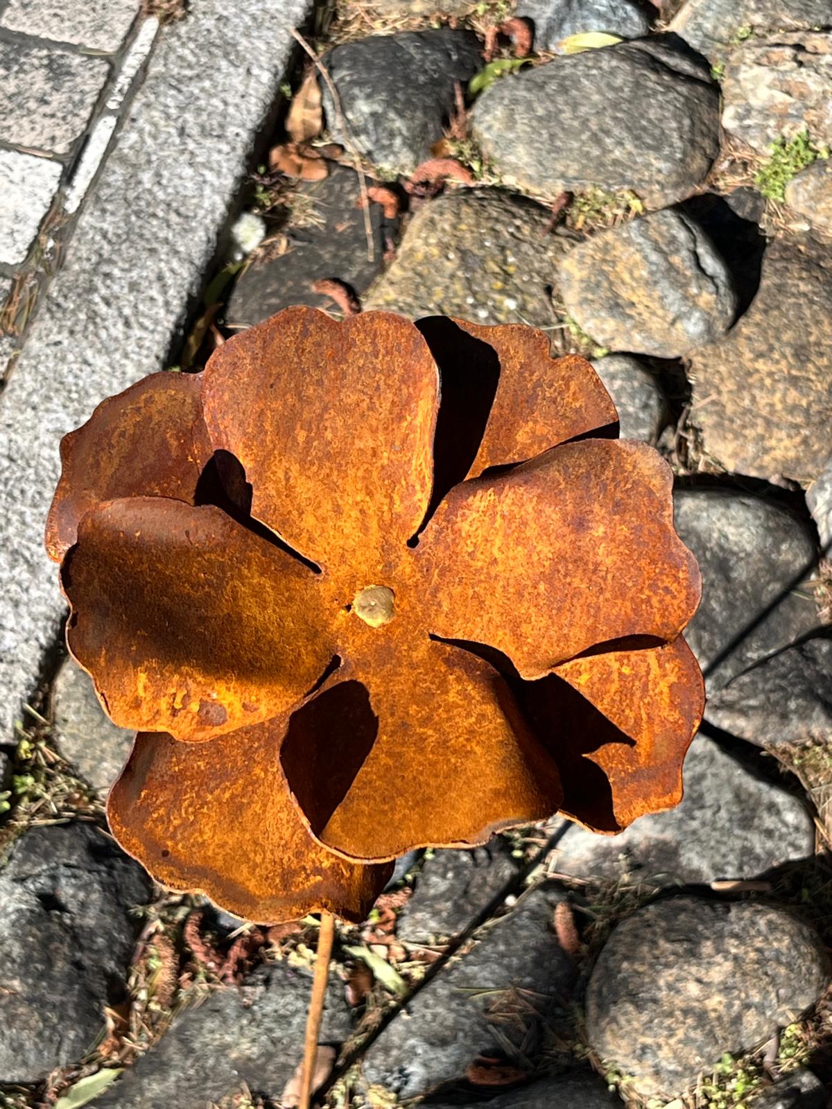 Flowers for the Garden