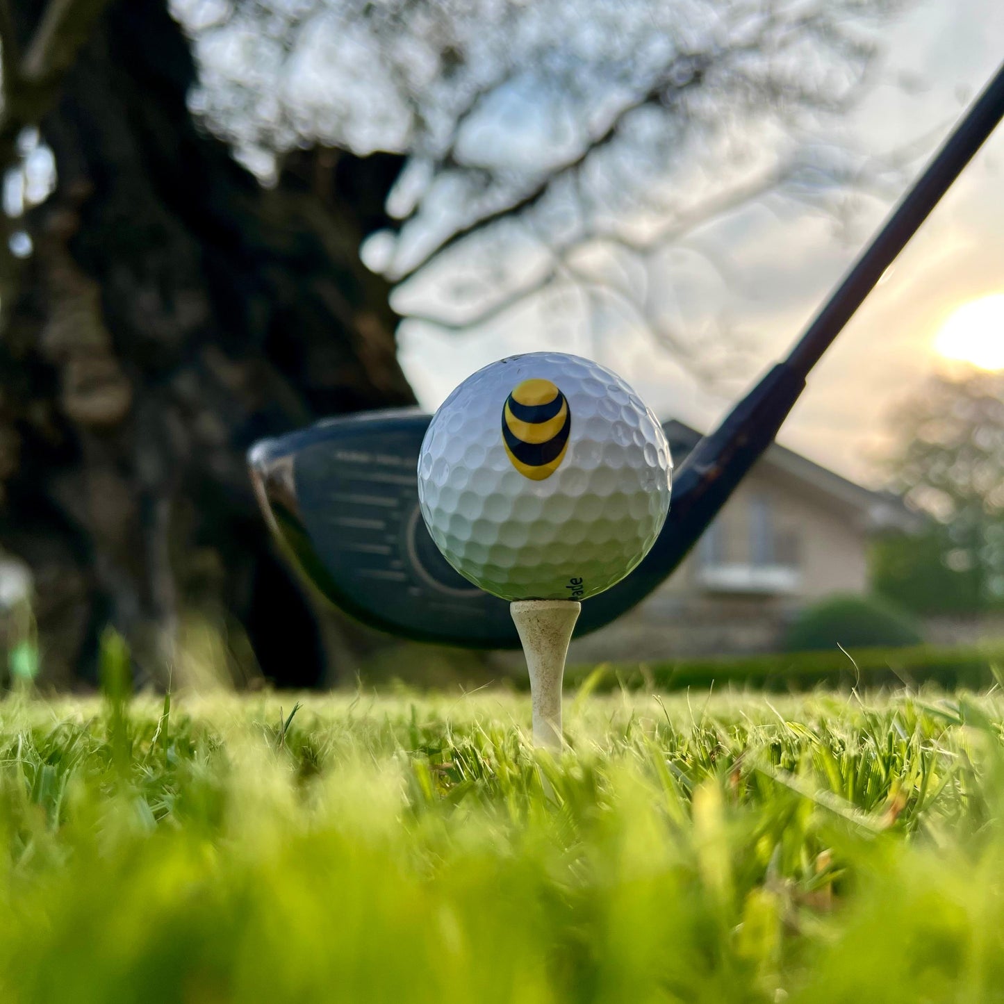 Golf balls (pac 3)