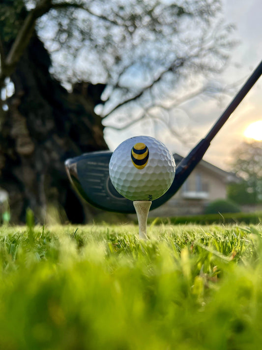 Play the game - balls